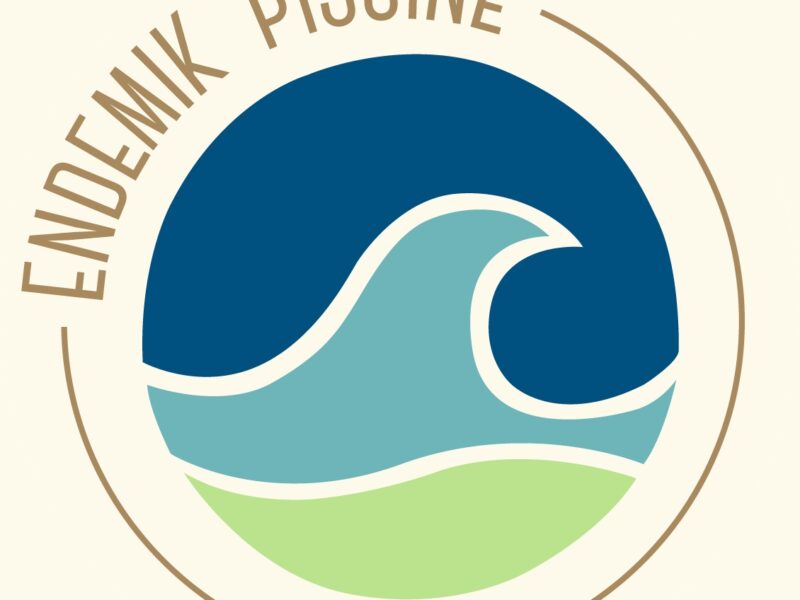SARL Endemik piscine